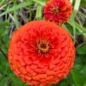 LAST CHANCE! CLOSET SALE!